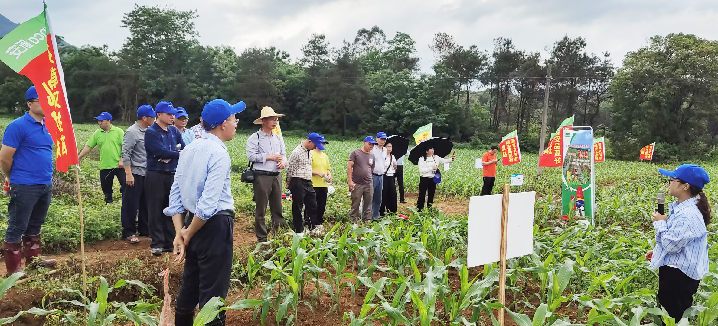 1720061983610840NoRI.jpg 1720061983610840NoRI.jpg